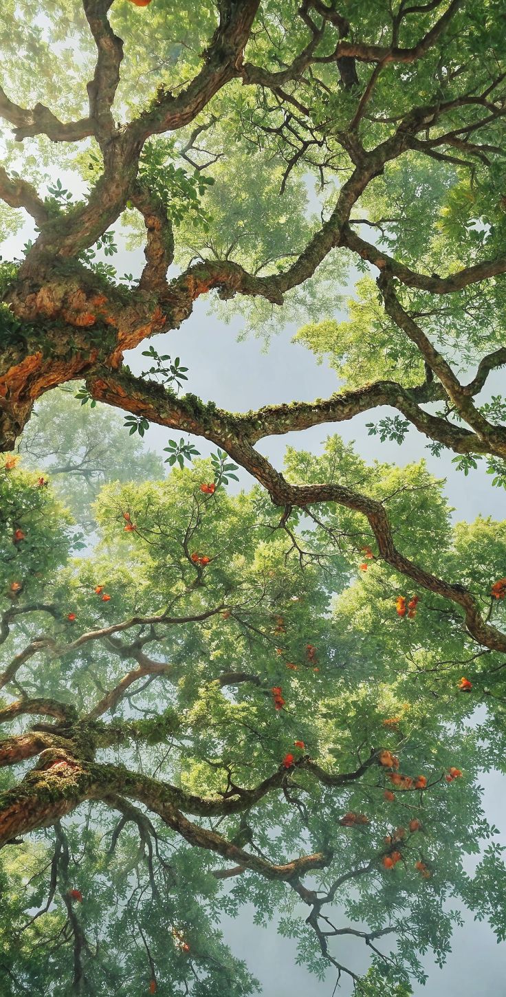 Giá Như Mình Đừng Gặp Gỡ